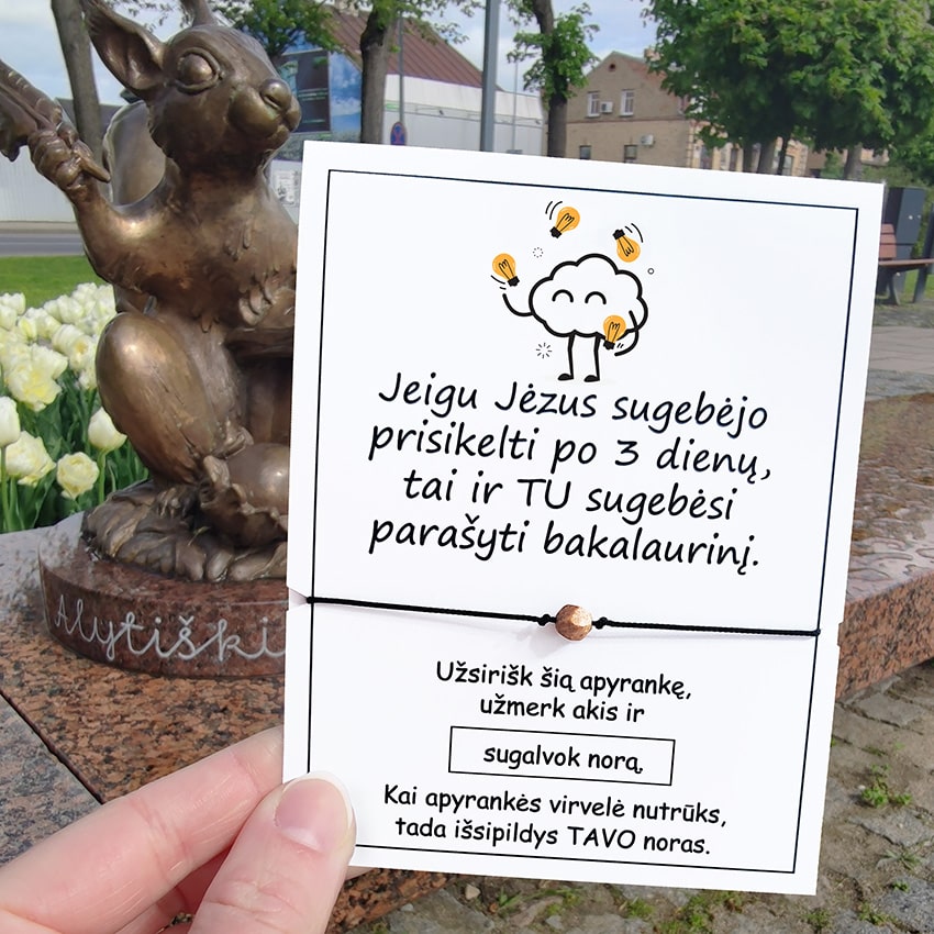 BAKALAURINISisi-min.jpg Bakalaurinis - Image 1
