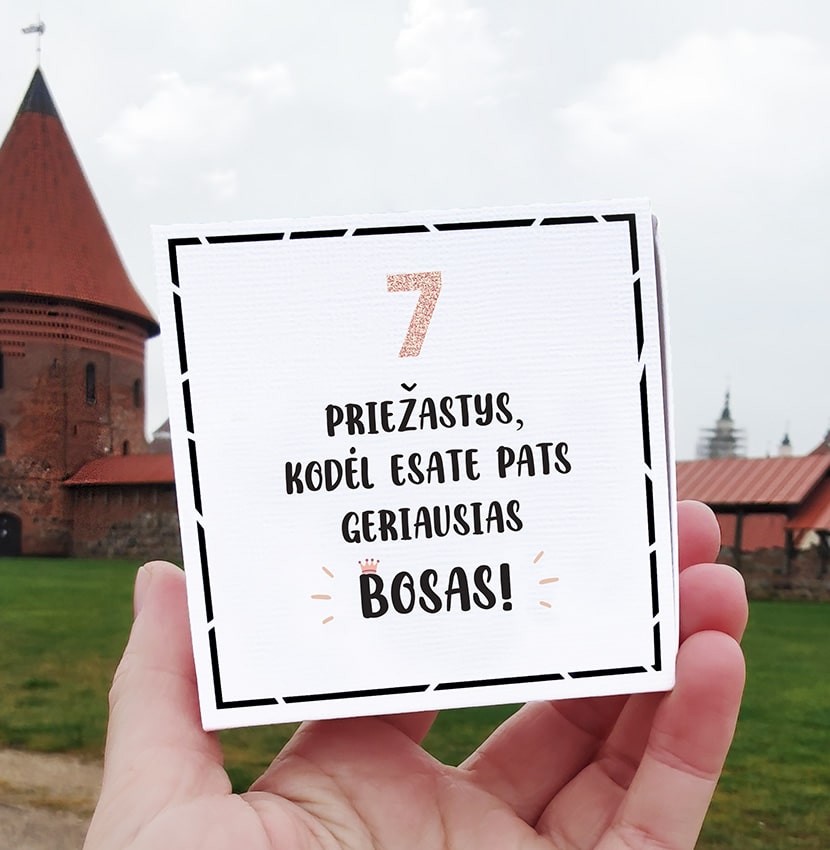 bosasisi-min.jpg 7 priežastys, kodėl esate pati geriausia bosė! - Image 2