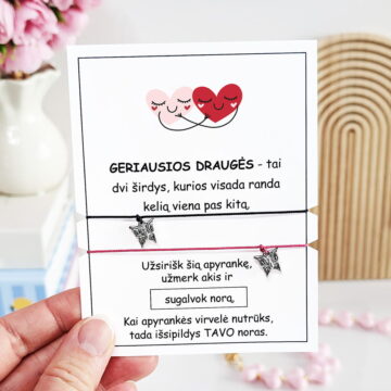 GERIAUSIOS DRAUGĖS - tai dvi širdys