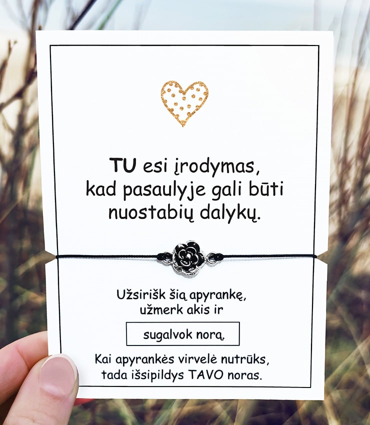 irodymasisi-min.jpg Tu esi įrodymas - Image 1